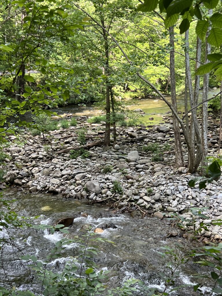 The Great Smoky Mountains