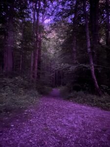 They Great Smoky Mountains National Park